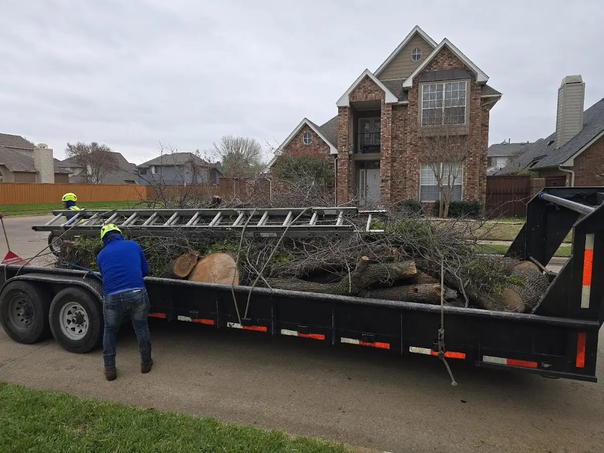 Expert Tree Pest Control with proper safety equipment in Rutland